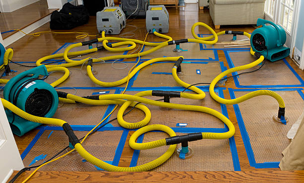 Professional Sewage Cleanup technician working in Kansasville, WI